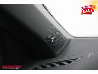 Volkswagen T-Roc 2.0 TSI 4Motion R LED ACC Beats Camera SHZ picture 24