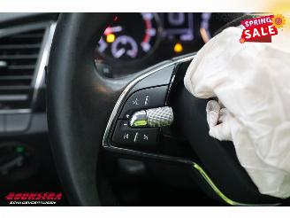 Skoda Fabia Combi 1.0 TSI Business Edition Navi Airco Cruise PDC AHK picture 21