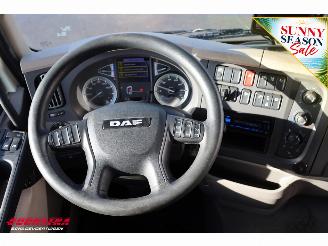 DAF LF 210 FA Aut. LBW Bak-Klep Dhollandia ACC 368.328 km! picture 31