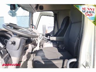 DAF LF 210 FA Aut. LBW Bak-Klep Dhollandia ACC 368.328 km! picture 38