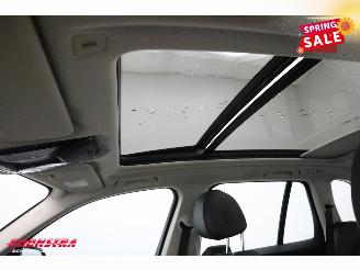 BMW X5 xDrive45e Executive Pano LED ACC H/K Camera LRHZ AHK picture 23