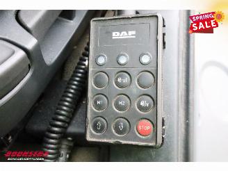 DAF CF 250 FA Aut. Kuhler Carrier Syberia Dhollandia Euro 6 picture 28