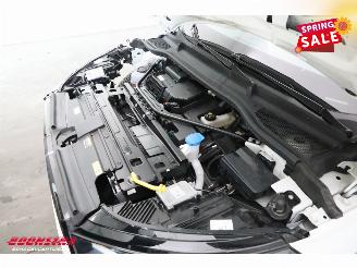 Skoda Enyaq 85 Sportline Pano LED ACC Memory Camera LRHZ picture 13