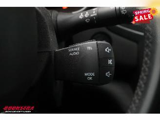 Renault Mégane Estate 1.3 TCe Bose Massage Navi Clima Cruise Camera PDC picture 22