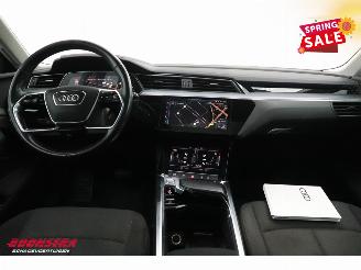 Audi E-tron 55 quattro advanced 95 kWh LED Virtual Cruise PDC picture 15