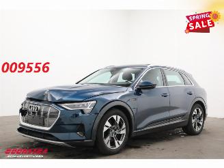  Audi E-tron 55 quattro advanced 95 kWh LED Virtual Cruise PDC 2019/12