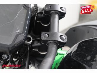 Kawasaki  Z500 SE ABS LED picture 23