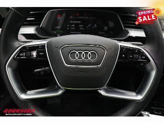Audi E-tron 55 quattro Advanced 95 kWh MirrorCam LED ACC Leder Camera SHZ picture 19