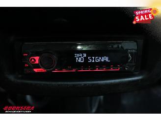 Aixam  D-Truck M12RS 400 Laadbak Radio picture 13