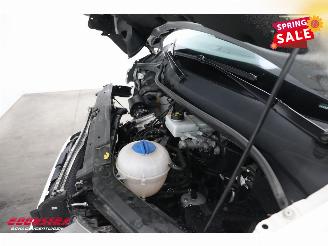 Volkswagen Crafter 2.0 TDI LBW Bak-Klep Dhollandia Airco Cruise picture 11