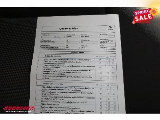 Volkswagen Crafter 2.0 TDI LBW Bak-Klep Dhollandia Airco Cruise picture 30