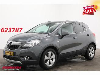 Avarii autoturisme Opel Mokka 1.6 CDTi Aut. Cosmo Leder Navi Clima Cruise Camera LRHZ SHZ AHK 2016/9