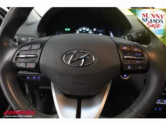 Hyundai Ioniq Comfort EV Infinity ACC Navi Clima Camera picture 20