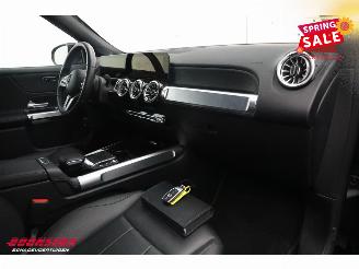 Mercedes EQB 250 Luxury Line 67 kWh Leder Navi Clima Cruise Camera SHZ picture 11