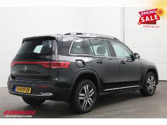 Mercedes EQB 250 Luxury Line 67 kWh Leder Navi Clima Cruise Camera SHZ picture 3