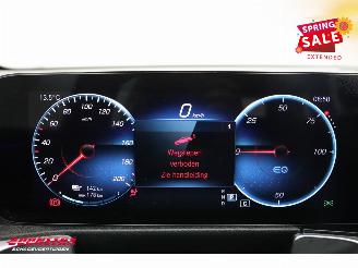 Mercedes EQB 250 Luxury Line 67 kWh Leder Navi Clima Cruise Camera SHZ picture 20