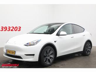 Damaged car Tesla Model Y RWD 58 kWh Pano LED ACC Camera LRHZ SHZ AHK 2024/3