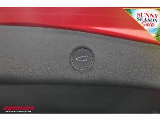 Tesla Model 3 Standard RWD Plus 60 kWh Pano LED ACC Leder Camera picture 31
