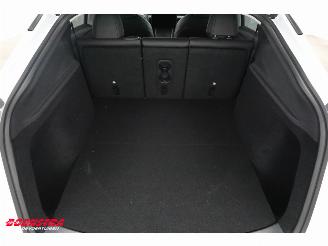 Tesla Model Y Standard RWD 58 kWh Pano LED ACC Camera SHZ LRHZ picture 34