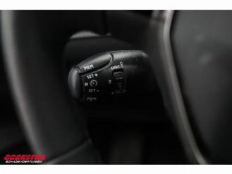 Peugeot e-208 EV Active Pack 50 kWh Cruise Clima Apple/Android SHZ PDC picture 23