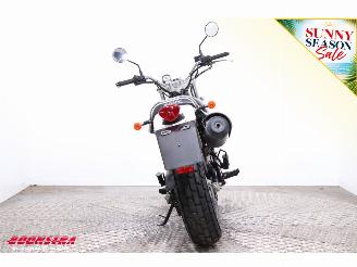 Suzuki  VanVan 200cc picture 8