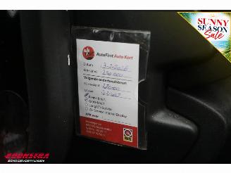Renault Mégane 1.2 TCe Bose Cruise Navi Clima PDC picture 25