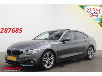 Auto incidentate BMW 4-serie Gran Coupé 420d Aut. Sport-Line BiXenon Leder Navi Clima Cruise Camera PDC 2015/10