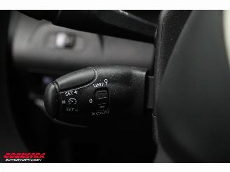 Citroën E-Berlingo 136 L1 50 kWh Apple/Android Cruise PDC picture 20