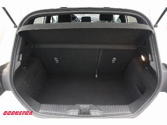 Ford Fiesta 1.0 EcoBoost ST-Line B&O Apple/Android Cruise picture 20