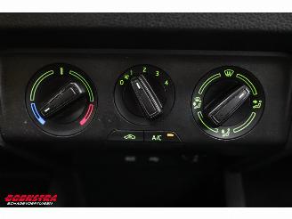 Skoda Fabia Combi 1.4 TDI DSG Ambition Business Navi Cruise Airco Bluetooth PDC picture 26