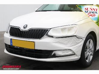 Skoda Fabia Combi 1.4 TDI DSG Ambition Business Navi Cruise Airco Bluetooth PDC picture 7
