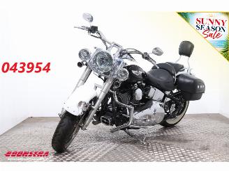 Schade motor Harley-Davidson Softail DeLuxe Penzl Exhaust 2005/6