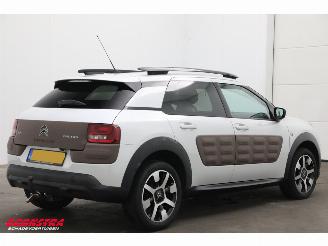Citroën C4 cactus 1.2 PureTech Aut. Business Navi Clima Bluetooth Camera PDC picture 3