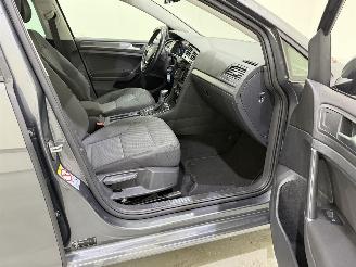 Volkswagen e-Golf E-DITION Clima/LED picture 30