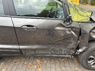 Ford EcoSport 1.0 picture 6