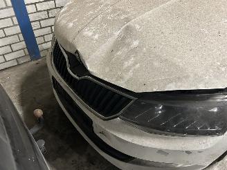 Skoda Fabia 1.4 TDI  Stationcar picture 2