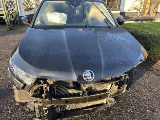 Skoda Kamiq 1.0 TSI 81kW Clever picture 3