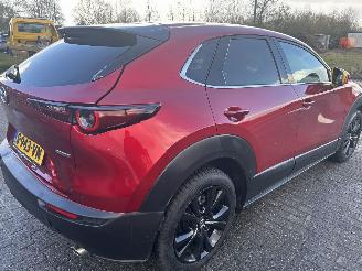Mazda CX-30 e-Skyactive 2.0 Hybrid Homura picture 6