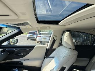 Lexus ES 300 H President Line  Schuifdak picture 15