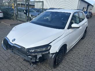 Skoda Fabia 1.0 TSI picture 1