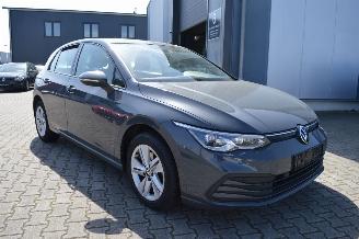 Auto incidentate Volkswagen Golf Volkswagen Golf VIII Life +  Alcantara Pdc kam Acc IQ Light 2023/2