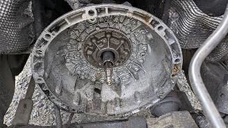 Mercedes ML 163 picture 15