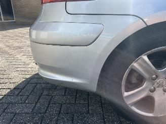 Peugeot 307  picture 15