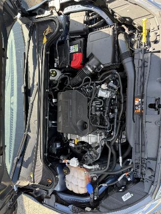 Ford Focus  picture 52
