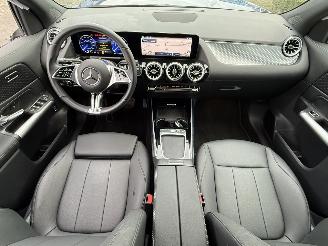 Mercedes EQA 71KWH EQA 250+ LUXURY LINE / Pano / Leer picture 15