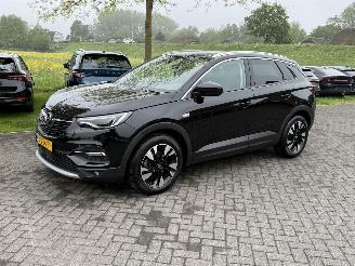 damaged passenger cars Opel Grandland X 1.2 Turbo / Automaat / Leer 2020/10