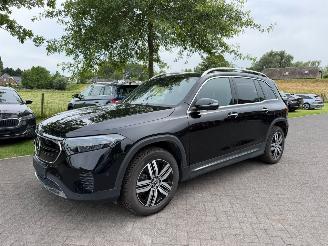  Mercedes EQB 300 4Matic 168 kw / 7p / Leer 2024/8