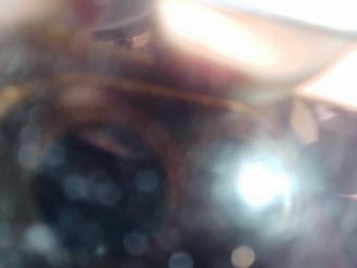 Mazda 5 5 (CR19), MPV, 2004 / 2010 1.8i 16V picture 11