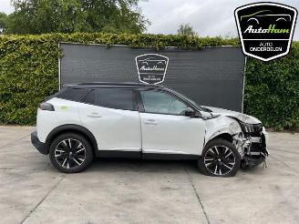 Peugeot 2008 2008 (UD/UK/UR/US/UX), MPV, 2019 e-2008 50 kWh picture 1