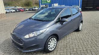  Ford Fiesta Ford Fiesta Trend top staat 2015/3